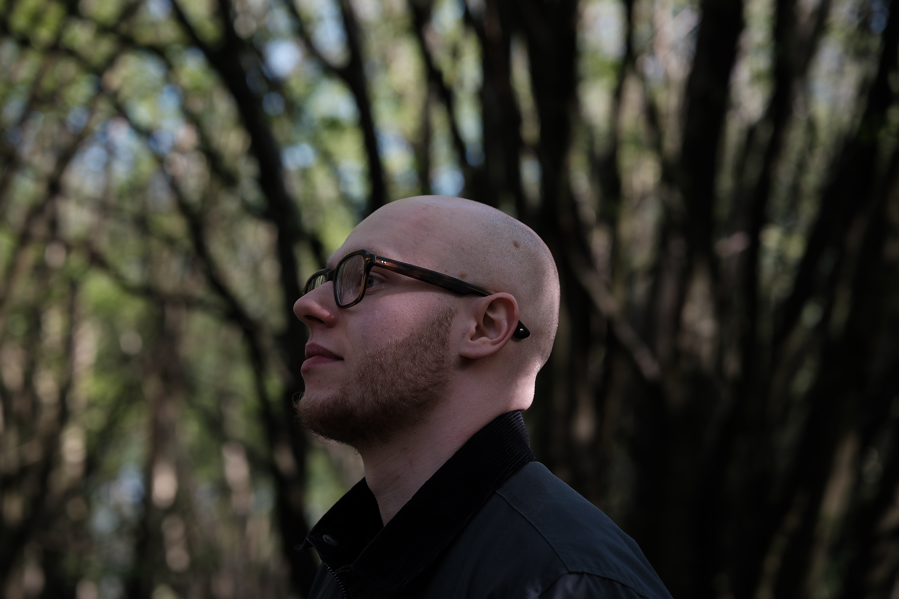 Oliver Rodwell — portrait in profile against woodland